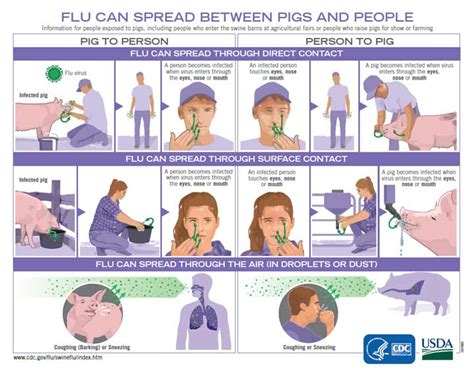 swine flu symptoms cdc